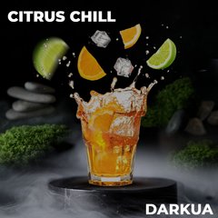 Тютюн DarkUA Citrus Chill 100g