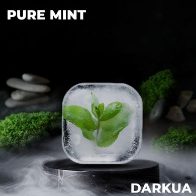 Табак DarkUA Pure Mint 100g