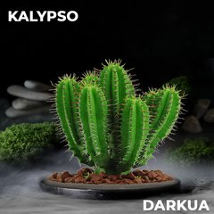 Тютюн DarkUA Kalypso 100g