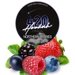 Табак 420 Dark Line Northern Berries 100g