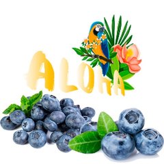 Ароматизована суміш Aloha Blueberry 40g