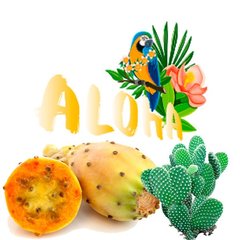 Ароматизована суміш Aloha Cactus 40g
