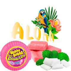Ароматизована суміш Aloha Gum 40g