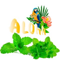 Ароматизированная смесь Aloha Mint 40g