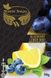 Тютюн White Angel Blueberry Lemon Mint 50g в магазині Hooka