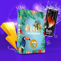 Ароматизированная смесь Aloha Burn (Берн) 100g
